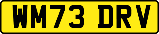 WM73DRV