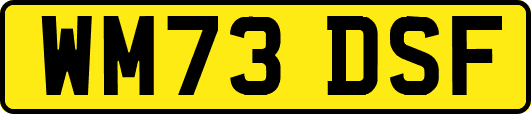 WM73DSF