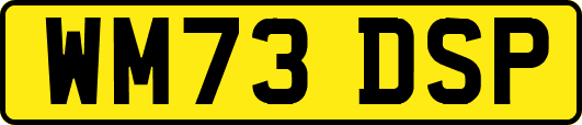 WM73DSP