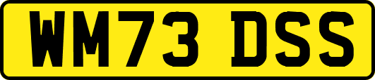WM73DSS