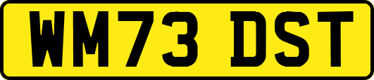 WM73DST
