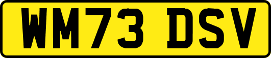 WM73DSV
