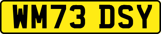 WM73DSY