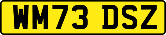 WM73DSZ