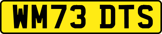 WM73DTS