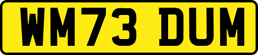 WM73DUM