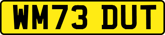 WM73DUT