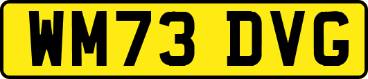 WM73DVG