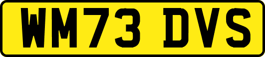 WM73DVS
