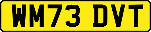 WM73DVT