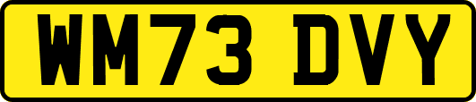 WM73DVY