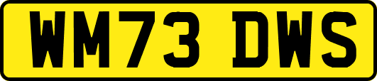 WM73DWS