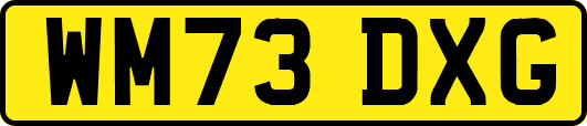 WM73DXG