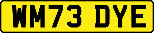 WM73DYE