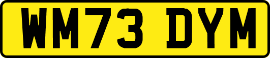 WM73DYM