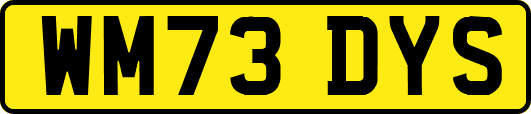 WM73DYS