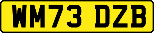 WM73DZB