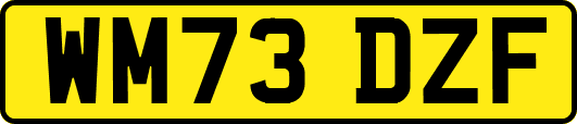 WM73DZF