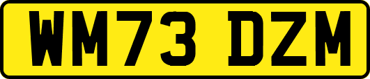 WM73DZM