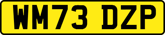 WM73DZP