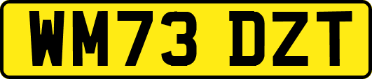 WM73DZT