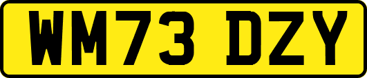 WM73DZY