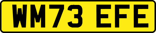 WM73EFE