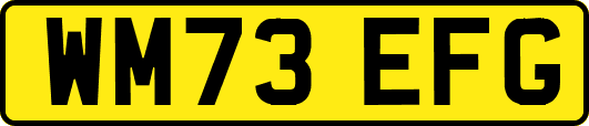 WM73EFG