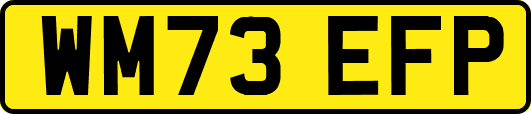 WM73EFP