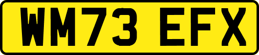 WM73EFX