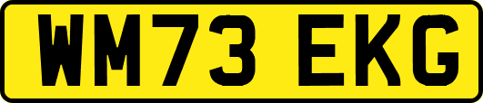 WM73EKG