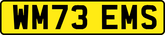 WM73EMS