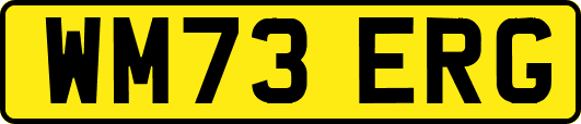 WM73ERG
