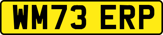 WM73ERP