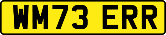 WM73ERR