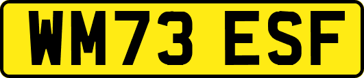 WM73ESF