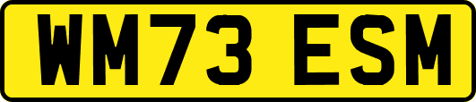 WM73ESM