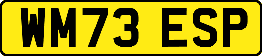 WM73ESP
