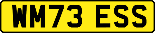 WM73ESS