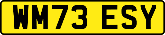 WM73ESY