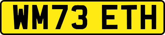 WM73ETH