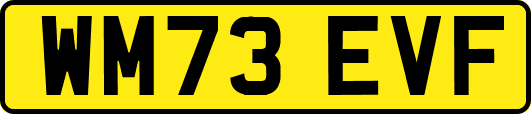 WM73EVF