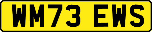 WM73EWS