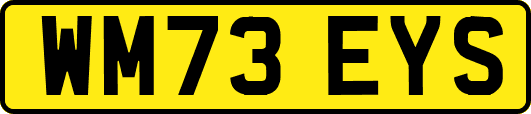 WM73EYS