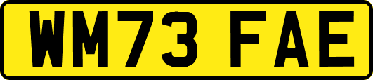 WM73FAE