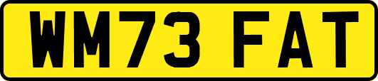 WM73FAT