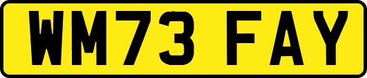 WM73FAY