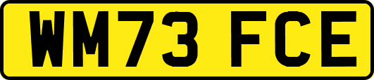 WM73FCE