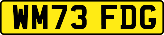 WM73FDG