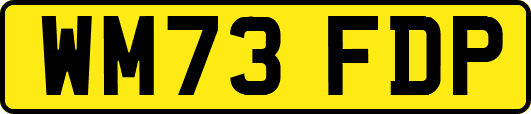 WM73FDP